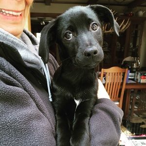 Meet your Posher, Haylie